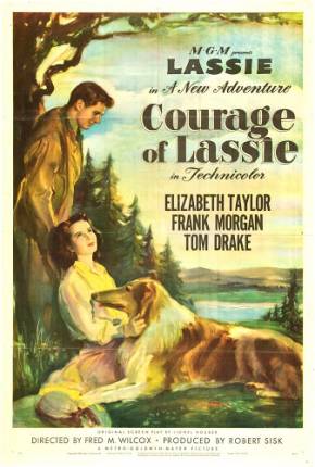 A Coragem de Lassie / Courage of Lassie via Torrent