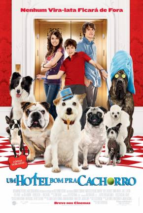 Um Hotel Bom Pra Cachorro (1080P) via Torrent