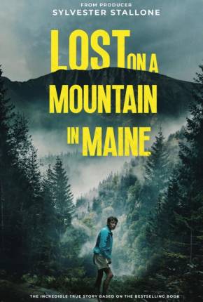 Lost on a Mountain in Maine - CAM - Legendado e Dublado via Torrent